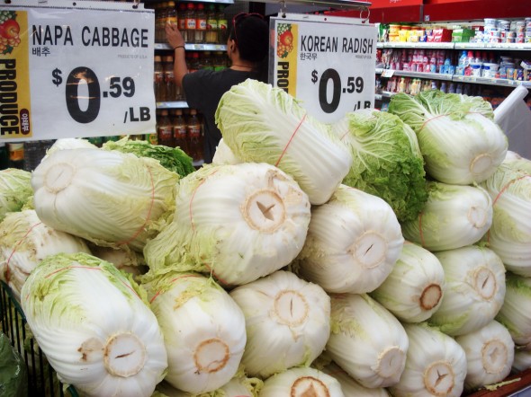 napa cabbage for sale
