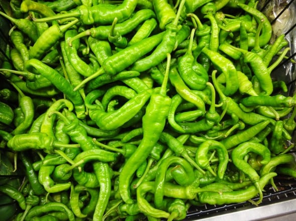 Korean green chili peppers