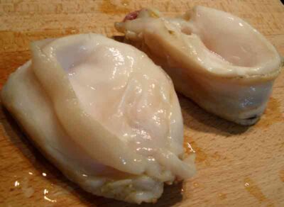 abalone