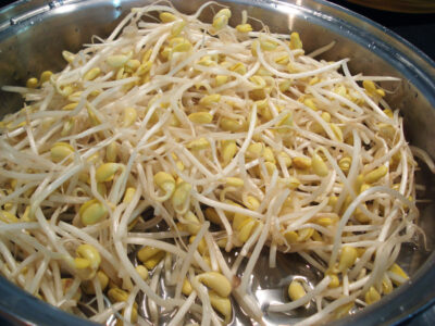 kongnamul