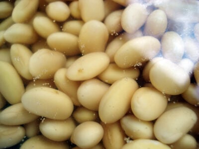 soaking soybeans overnight