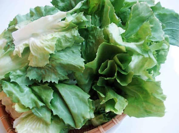 lettuce