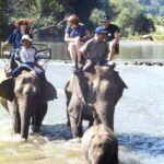 elephantriding.jpg