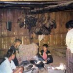 hmong.jpg