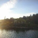 island31.jpg
