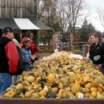 pumpkin31.jpg