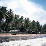 beach21.jpg