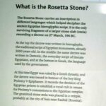 Rosetta2.jpg