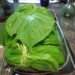 perilla leaves