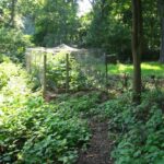 Melinda’s garden