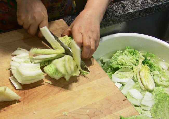 EASY KIMCHI RECIPE MAANGCHI visual data 6