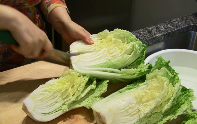 EASY KIMCHI RECIPE MAANGCHI visual data 7