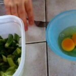 greenonionsandeggs