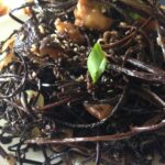 tablefern