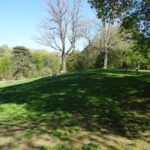 10 ave lawn hill