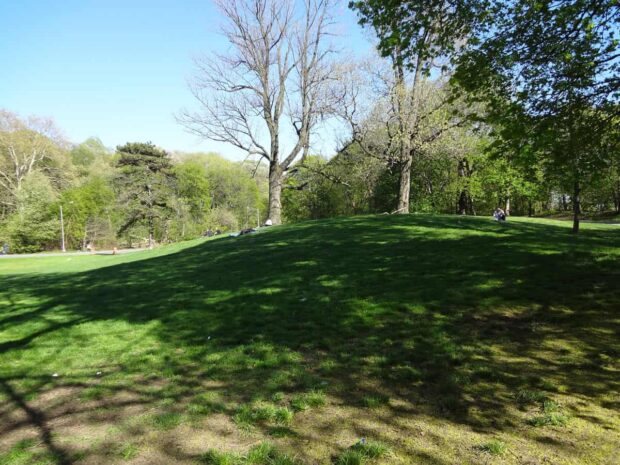 10 ave lawn hill