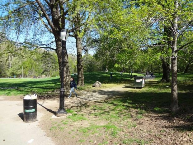 Prospect Park 10th ave lawn