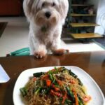 Japchae