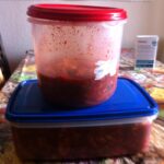 kimchi