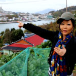 My hometown Yeosu