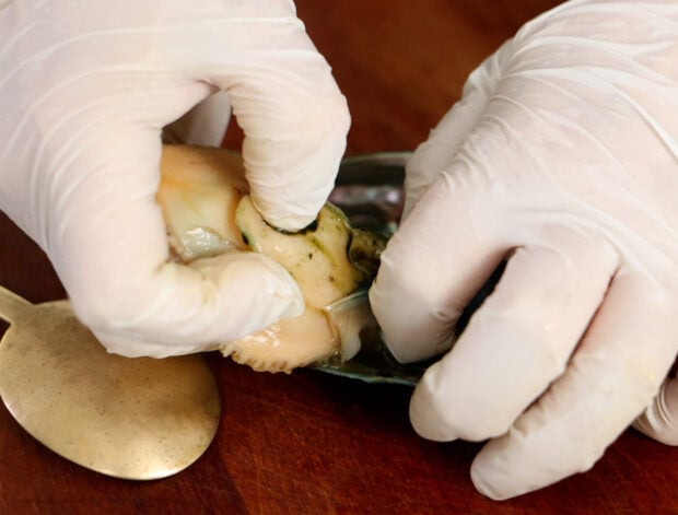 cleaning abalone