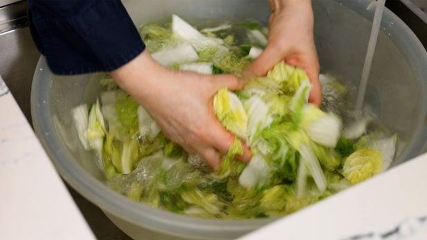 Rinse cabbage